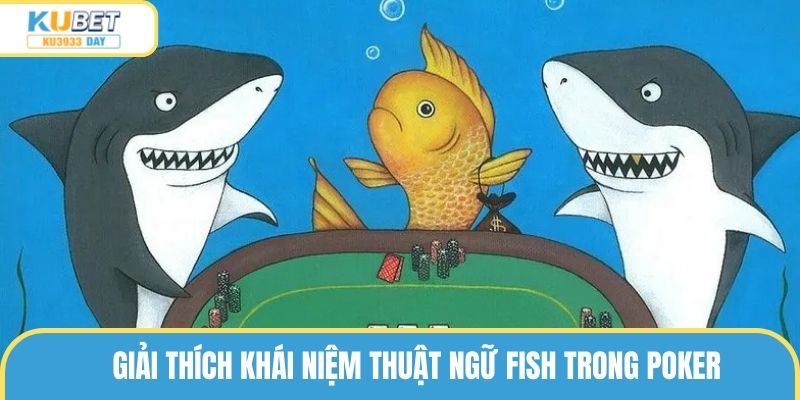 Giải thích khái niệm thuật ngữ fish trong poker